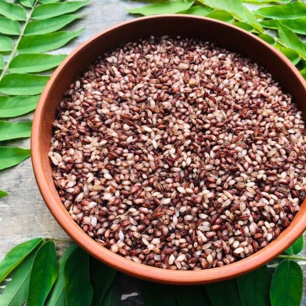 Tepa Boro Half fiber (লাল টেপা বোরো)