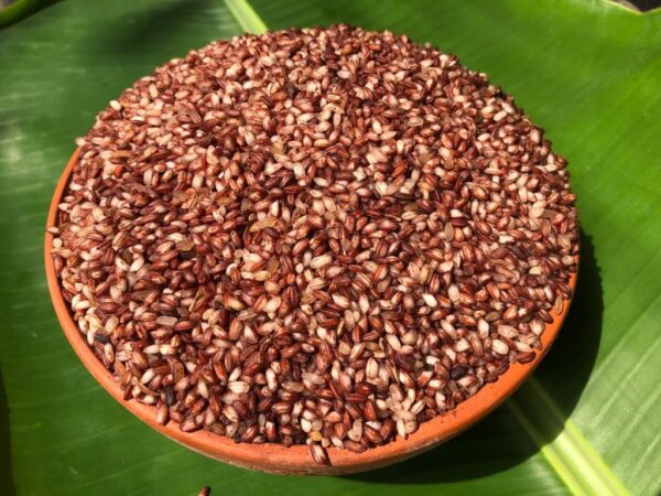 Tepa Boro Half fiber (লাল টেপা বোরো) 10 কেজি - Image 2