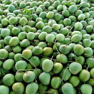 হিমসাগর আম/Himsagar Mango- ১০ কেজি (প্যাকেজিং এবং ডেলিভারিসহ)