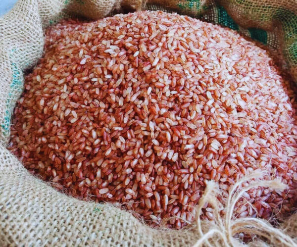 Tepa Boro Half fiber (লাল টেপা বোরো) 10 কেজি